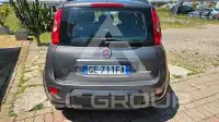 2021 Fiat Panda