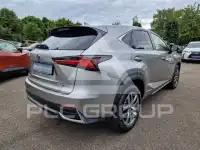 2021 Lexus NX300
