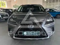 2021 Lexus NX300