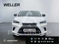 2021 Lexus NX300