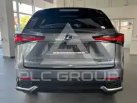 2021 Lexus NX300