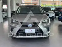 2021 Lexus Other