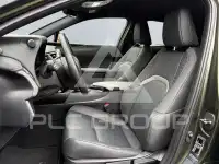 2021 Lexus UX