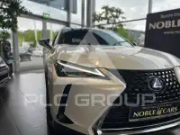 2021 Lexus UX