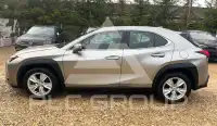 2021 Lexus UX