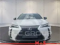 2021 Lexus UX