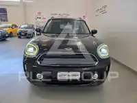 2021 Mini Unknown