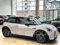 2021 Mini Unknown