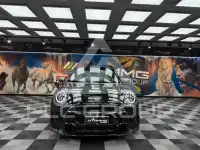 2021 Mini Unknown