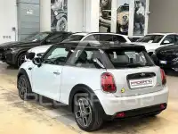2021 Mini Unknown