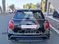 2021 Mini Unknown