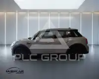 2021 Mini Unknown