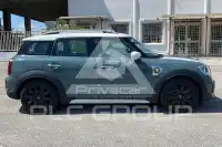 2021 Mini Unknown
