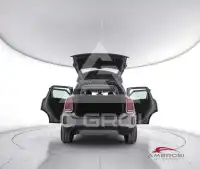 2021 Mini Unknown