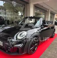 2021 Mini Unknown