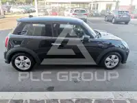 2021 Mini Unknown