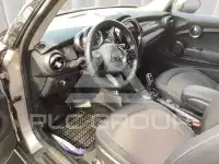 2021 Mini Unknown