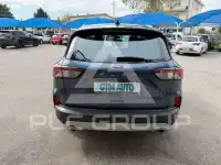 2021 Ford Kuga