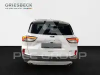 2021 Ford Kuga