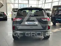2021 Ford Kuga