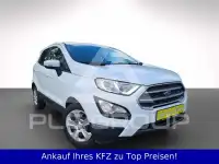 2021 Ford Eco Sport