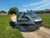 2021 Ford Tourneo