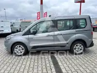 2021 Ford Tourneo