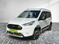 2021 Ford Tourneo