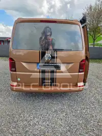 2021 Volkswagen T6