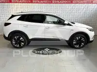 2021 Opel GrandlandX