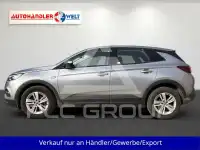 2021 Opel GrandlandX