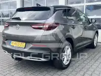 2021 Opel GrandlandX