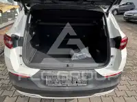 2021 Opel GrandlandX