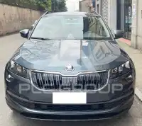 2022 Skoda Karoq