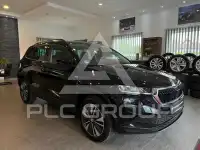 2022 Skoda Karoq