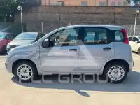 2022 Fiat Panda