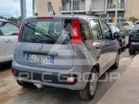 2022 Fiat Panda