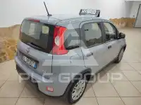 2022 Fiat Panda