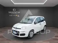 2022 Fiat Panda