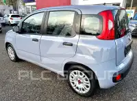 2022 Fiat Panda