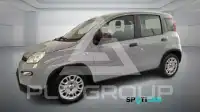 2022 Fiat Panda