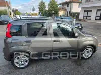 2022 Fiat Panda