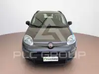 2022 Fiat Panda