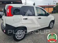 2022 Fiat Panda