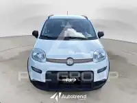 2022 Fiat Panda