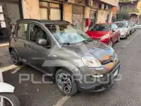 2022 Fiat Panda