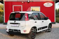 2022 Fiat Panda