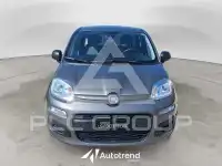 2022 Fiat Panda