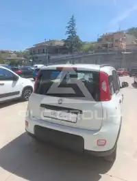 2022 Fiat Panda