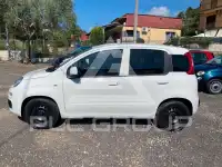 2022 Fiat Panda
